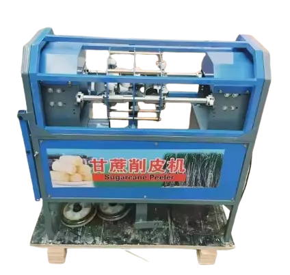 गन्ने की त्वचा का छिलका